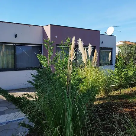 Nika Holiday home *